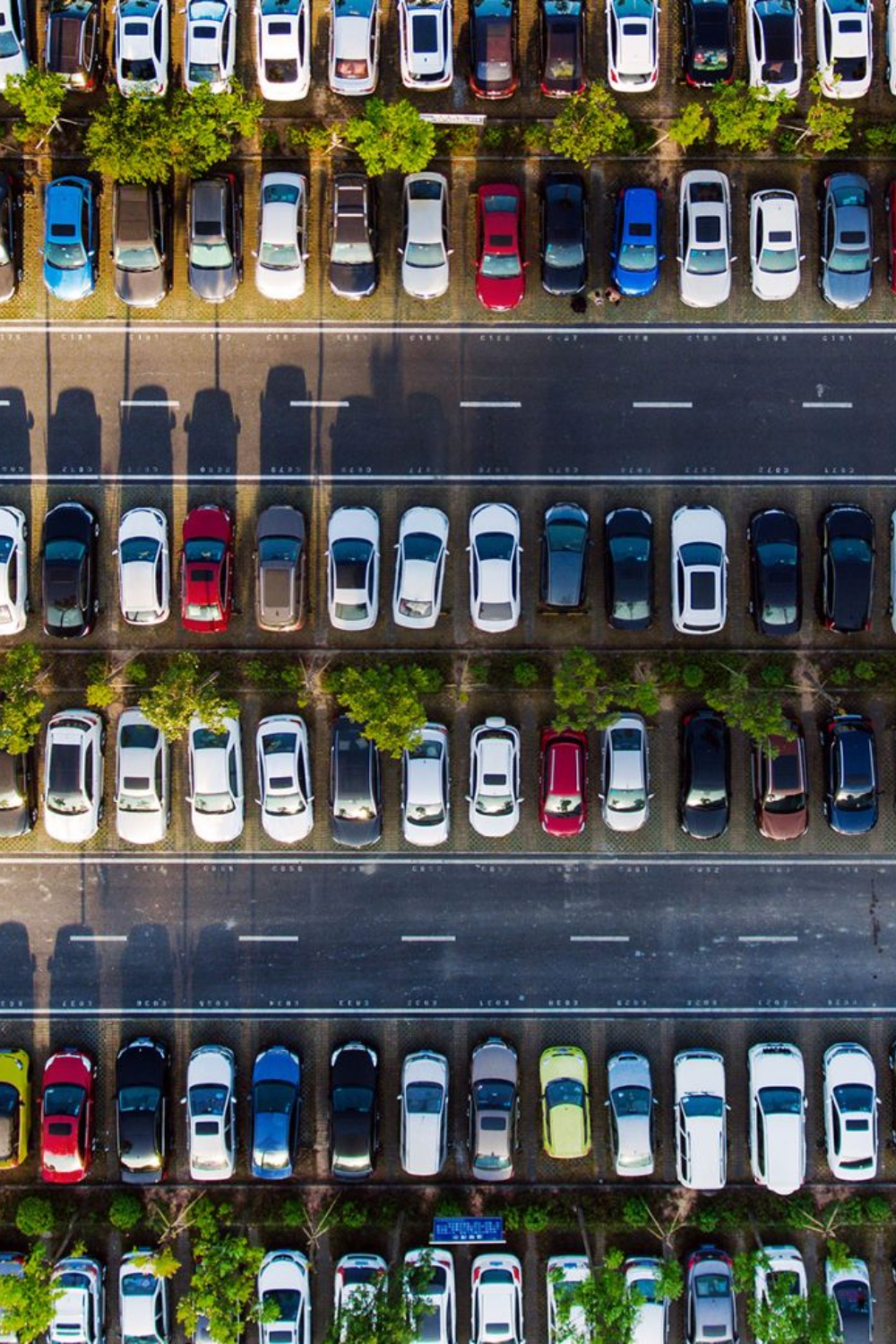 Comprehensive Fleet Management