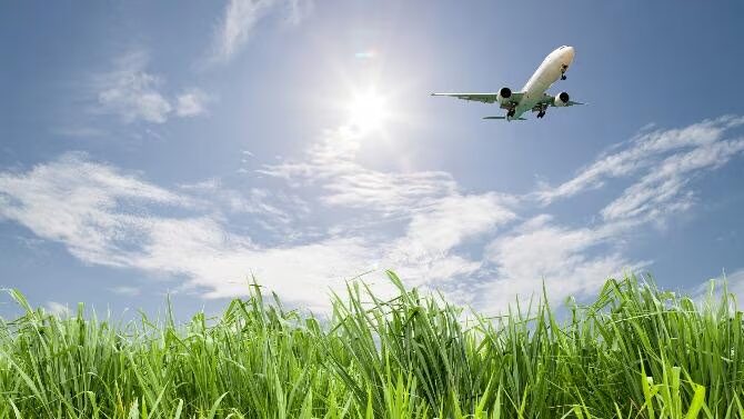 What is Sustainable Aviation Fuel: